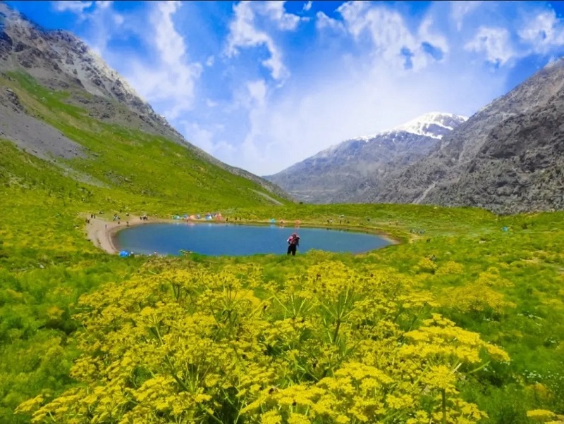 شهر یاسوج در کدام استان است؟